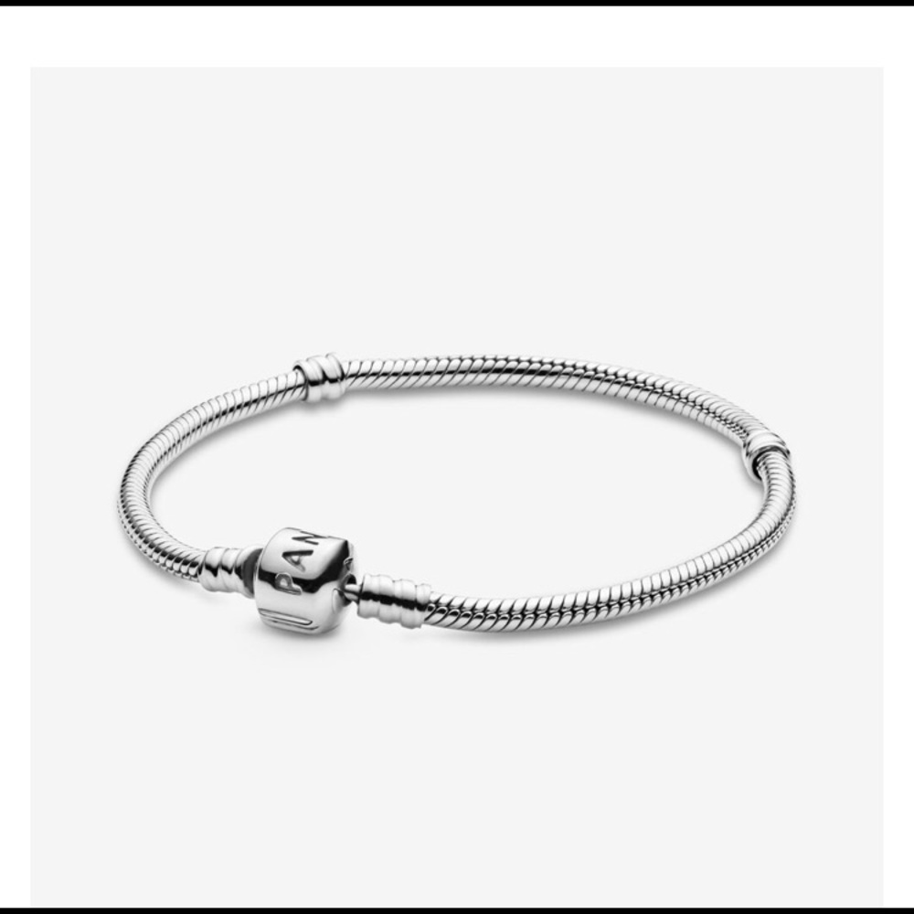 Pandora Snake Chain Bracelet + 1 Charm.